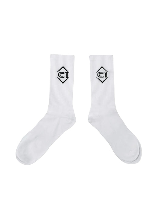 [ C1 ] SOCKS